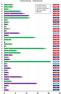 Lymphocyte-activating gene 3 expression in tumor cells predicts immune checkpoint inhibitor response in triple negative breast cancer